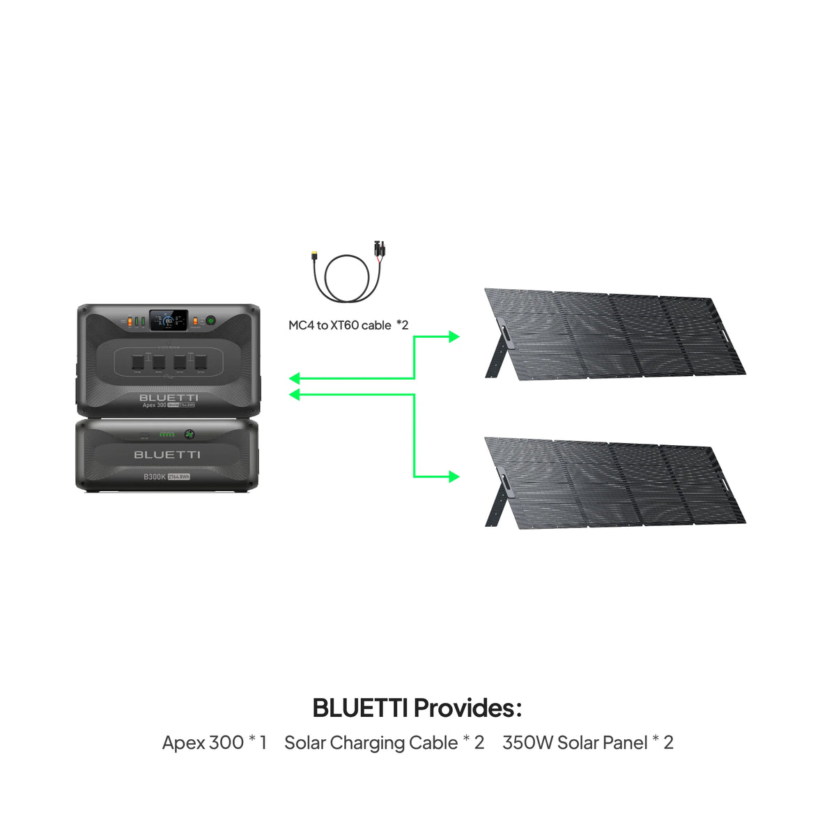 BLUETTI Apex 300 + B300K + 2×200W Solar Generator
