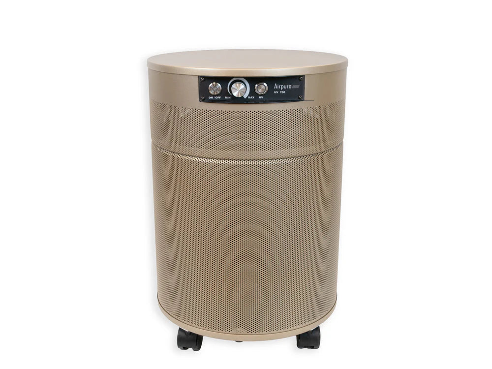 Airpura P700 Air Purifier