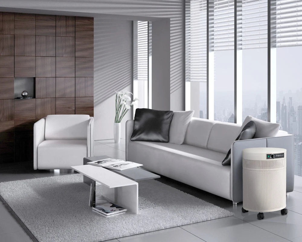 Airpura P600 Air Purifier