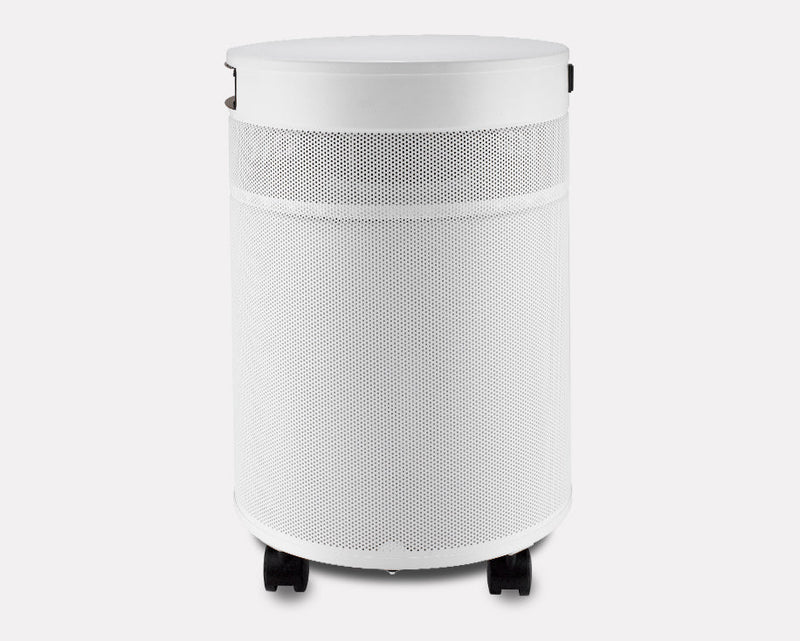 Airpura G700 DLX Odor-Free Carbon Air Purifier for Chemically Sensitive Environments