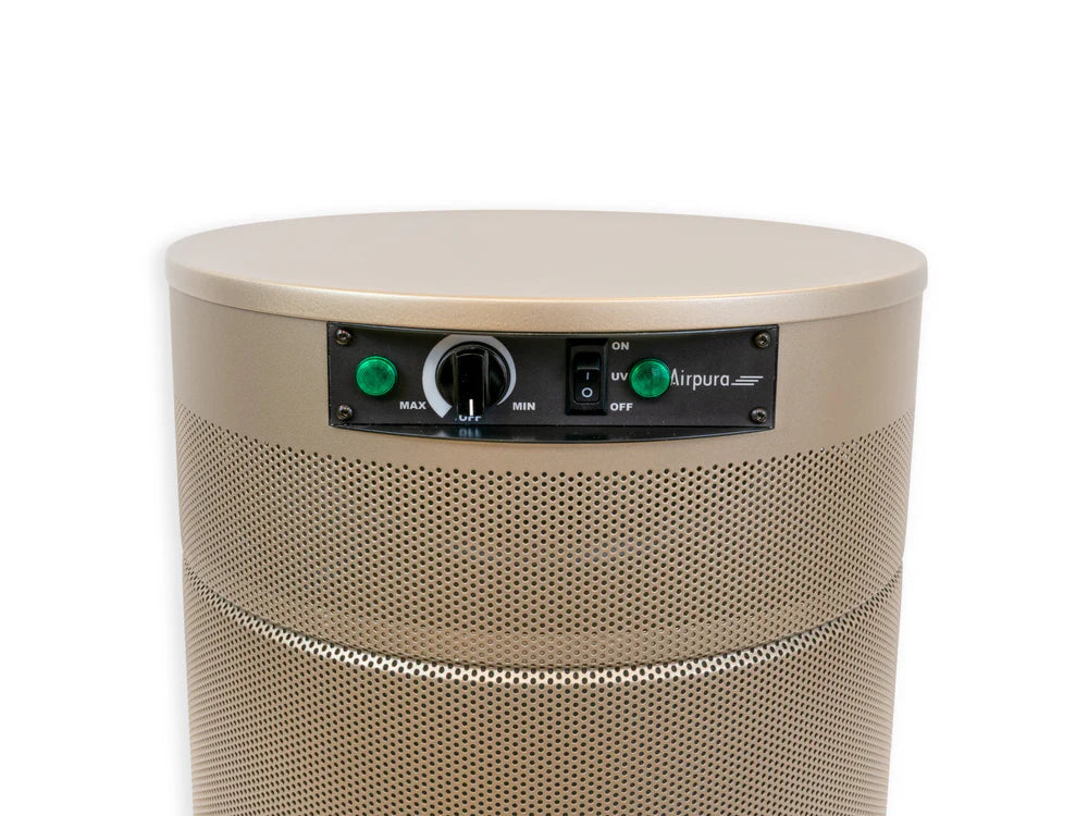 Airpura P600 Air Purifier