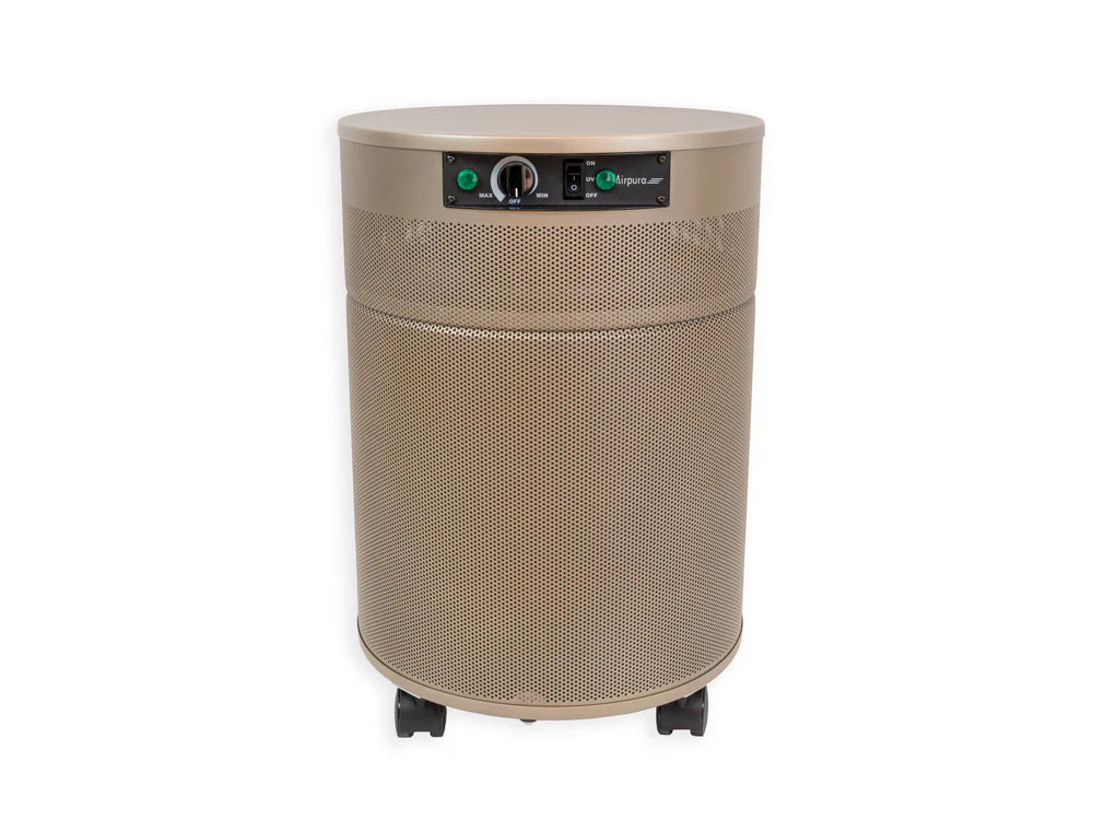 Airpura P600 Air Purifier