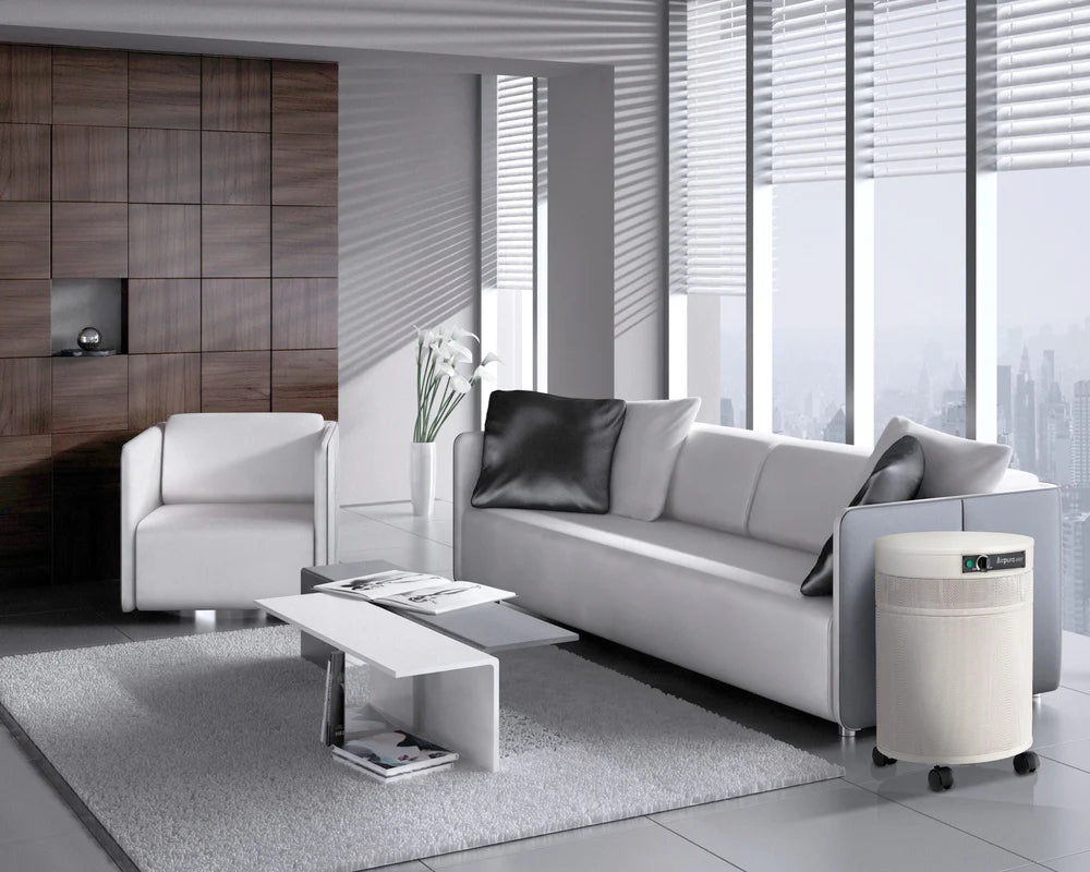 Airpura P700 Air Purifier